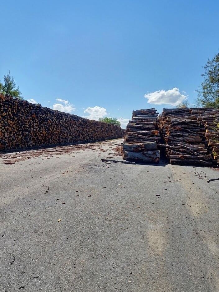 Dépôt de bois de chauffage S BOIS, bûches empilées en grande quantité, prêtes à la livraison.